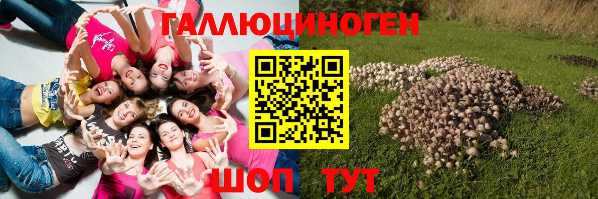 Галлюциногенные грибы ЛСД Балашиха